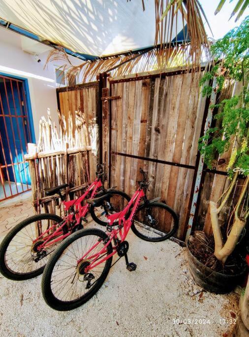 Apartment Little Oasis Cozumel
